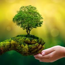 Preserving Natural Resources